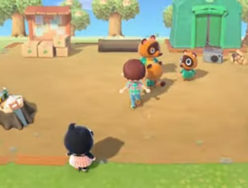 Animal Crossing – New Horizons (SWITCH)
