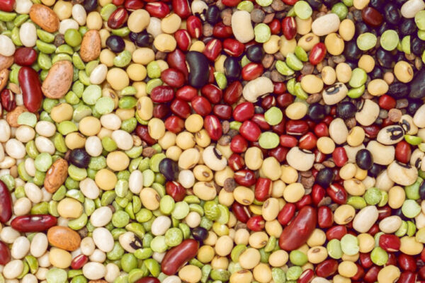 История бобовых