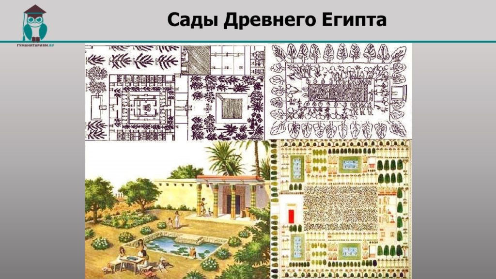 Детские сады в египте